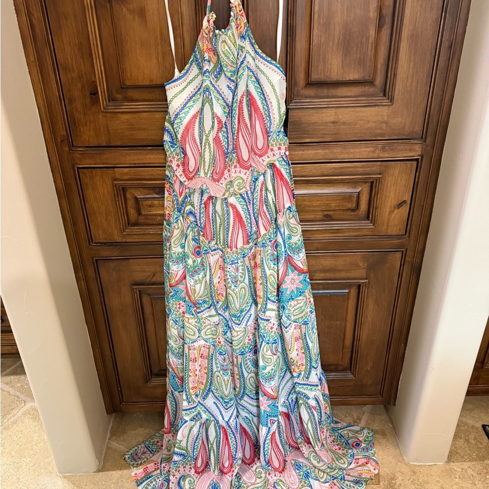 New York & Company Multicolor Paisley Maxi Dress